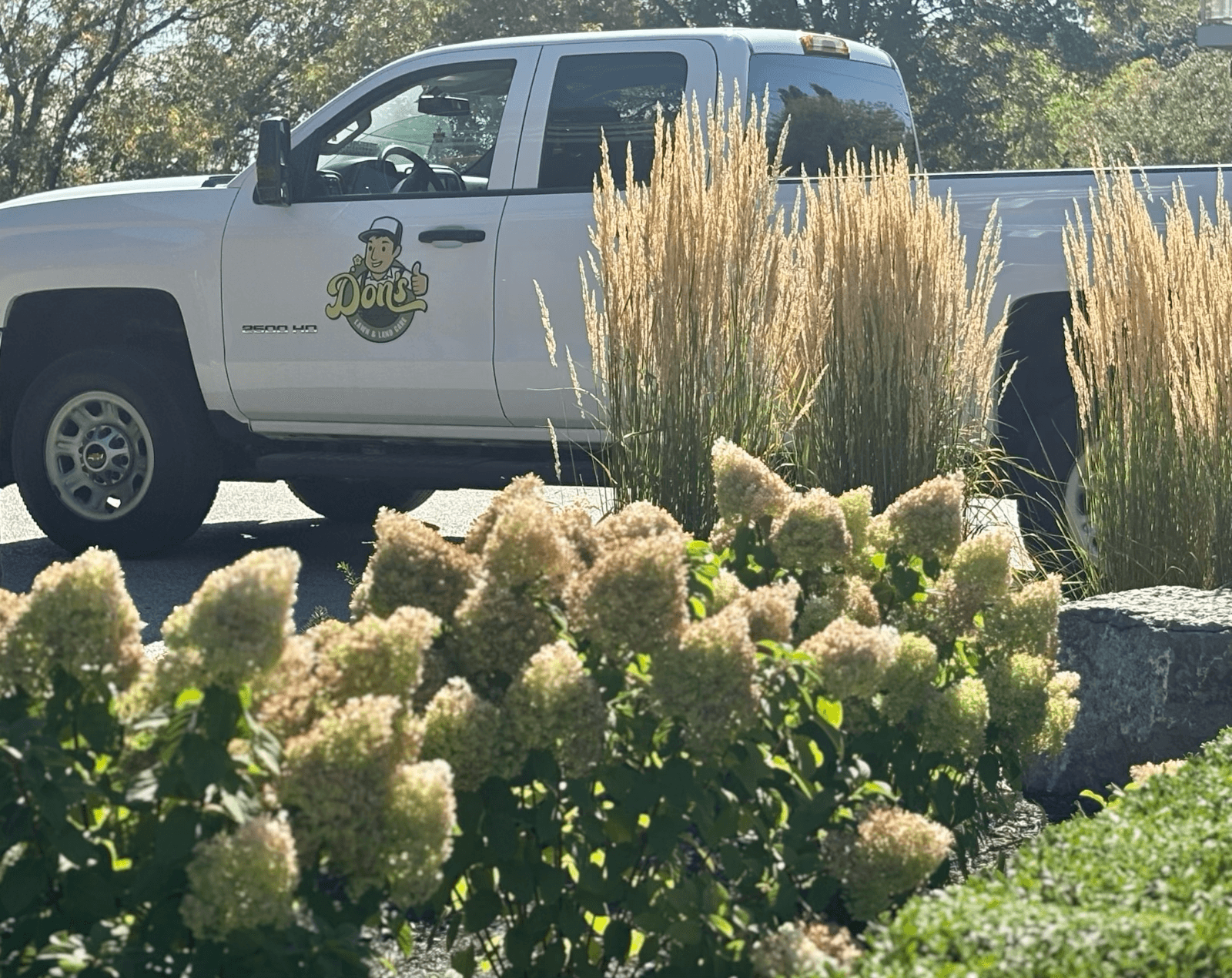 Lawn care and property maintenance services in St Catharines, Ontario