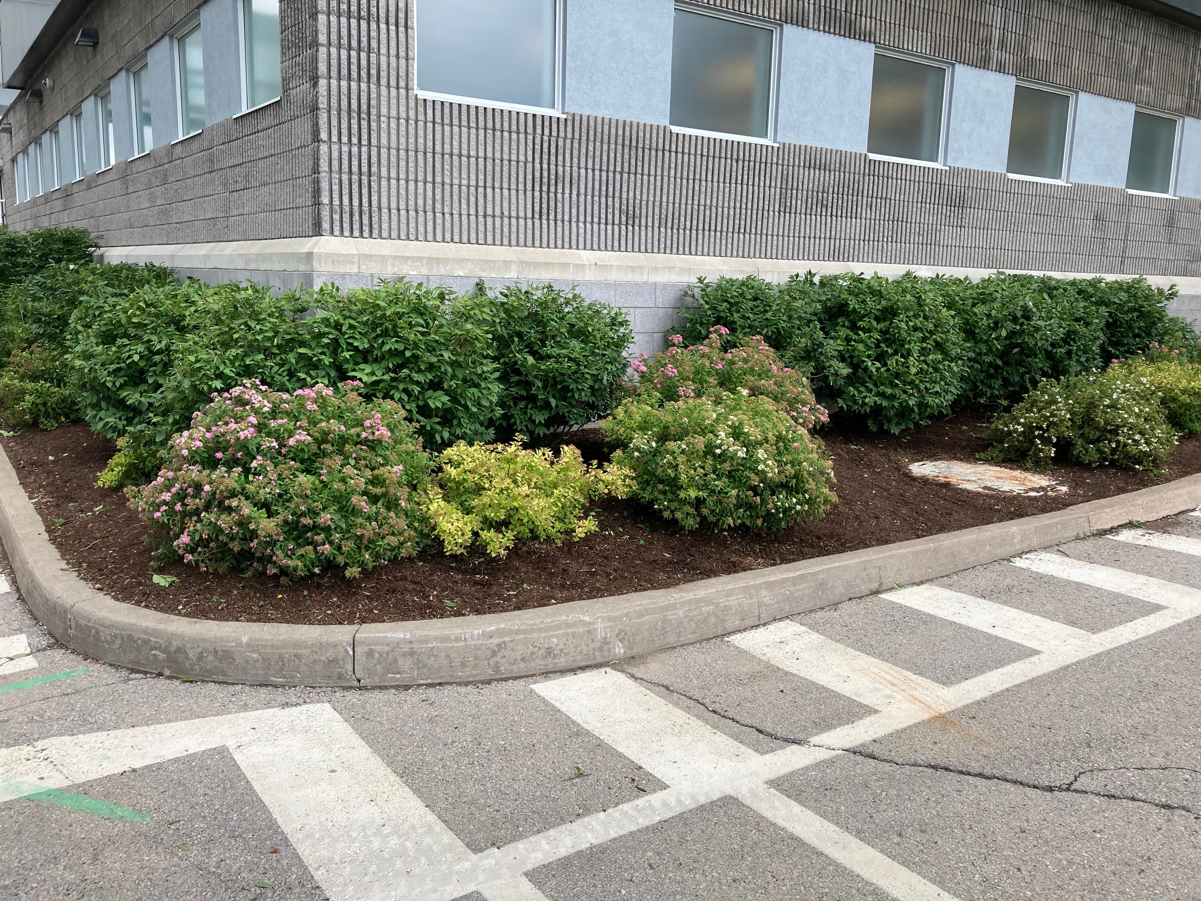 Commercial Maintenance in St Catharines