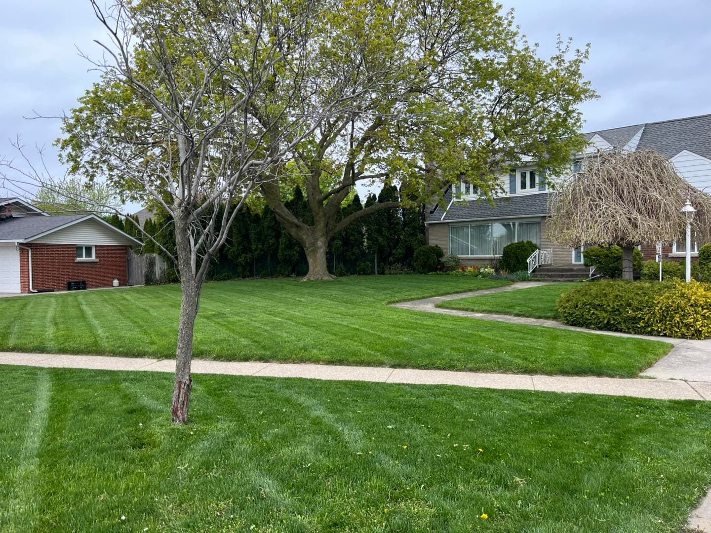 Residential lawn mowing in St. Catharines